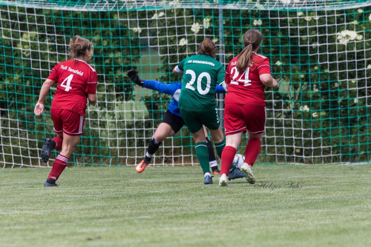 Bild 310 - SV GW Siebenbaeumen - TuS Tensfeld : Ergebnis: 2:2